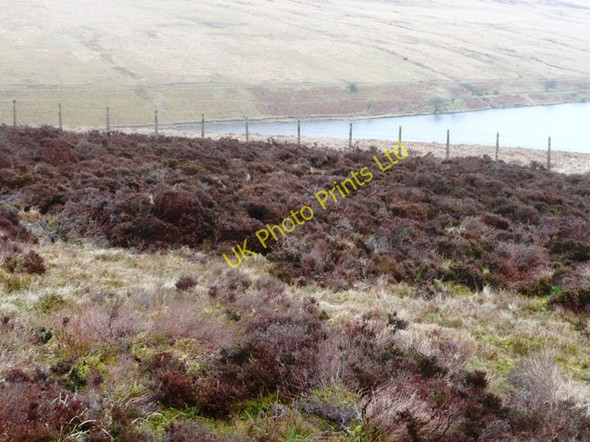 Photo 6"x4" West of Gwryne Fawr reservoir Capel-y-ffin c2008