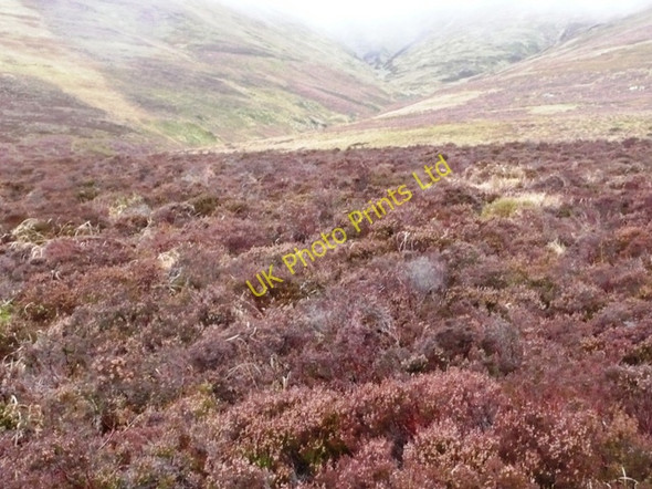 Photo 6"x4" Cwm Grigws-uchaf Capel-y-ffin c2008