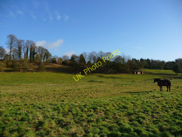 Photo 6"x4" Hurstbourne Tarrant - Field Hurstbourne Tarrant c2010