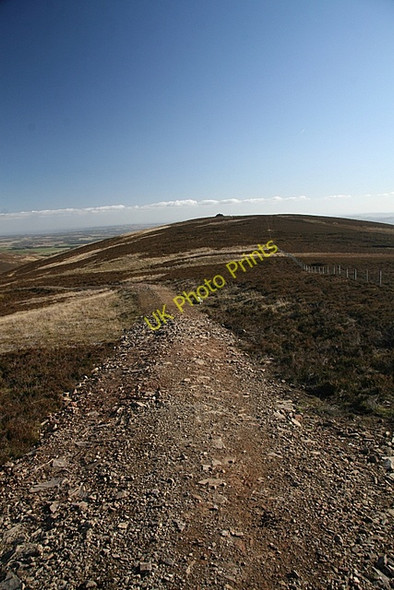 Photo 6"x4" Track , Naked Tam Glenogil c2009