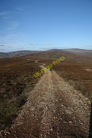 Photo 6"x4" Track to Auld Darkney Glenogil c2009