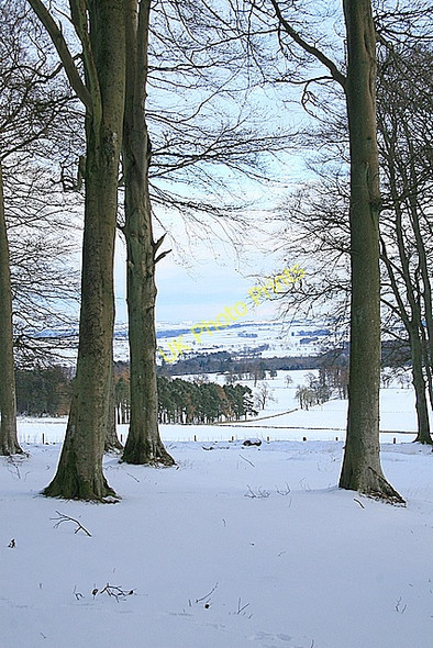 Photo 6"x4" Looking East, Fotheringham Hill Easter Meathie c2010