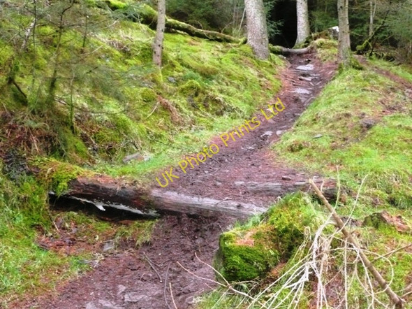 Photo 6"x4" Mountain bike trail Capel-y-ffin c2008