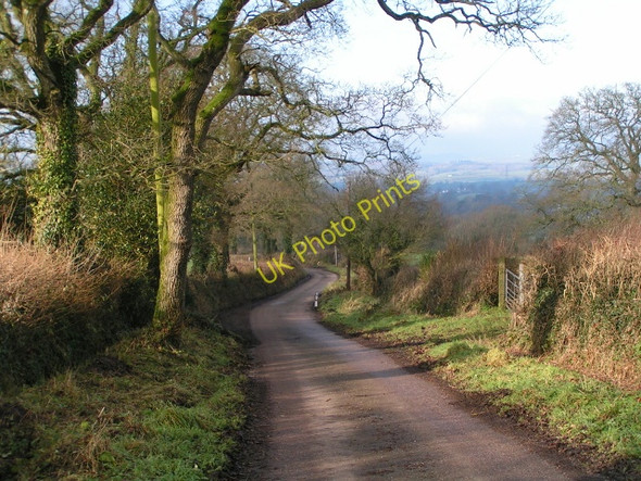 Photo 6"x4" Lane to Wimple near Aller Grove Aller Grove c2010