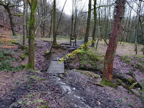 Photo 6"x4" Footbridge east of Nuttall Road Ramsbottom c2010