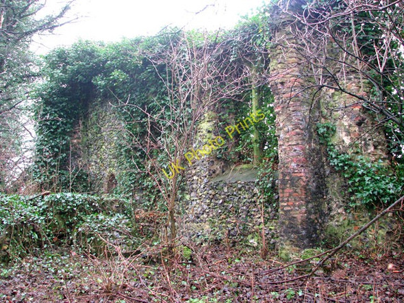 Photo 6"x4" The ruins of St Andrew's church - a section of south wall Postwick c2010