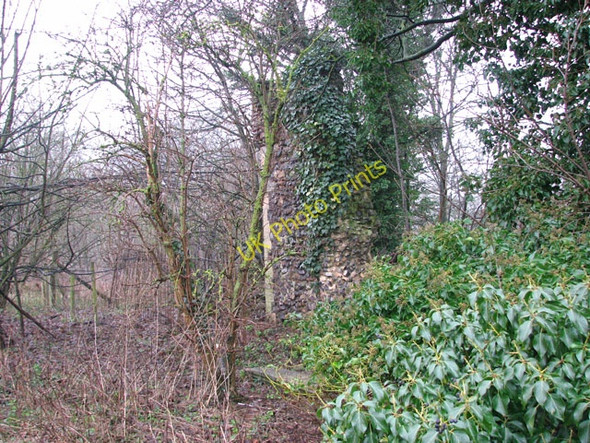Photo 6"x4" The ruins of St Andrew's church - the south-west corner Postwick c2010