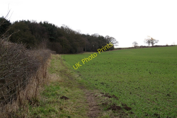 Photo 6"x4" Northwest side of North Cubbington Wood Cubbington c2010