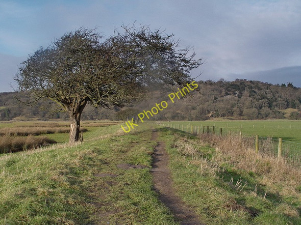 Photo 6"x4" Lancashire Coastal Way Crag Foot c2010