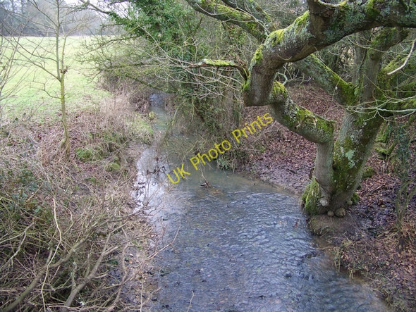 Photo 6"x4" Stream, West Dean West Dean\/SU2527 c2010