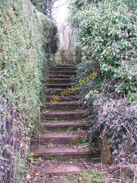 Photo 6"x4" Steps, West Tytherley Gree c2010