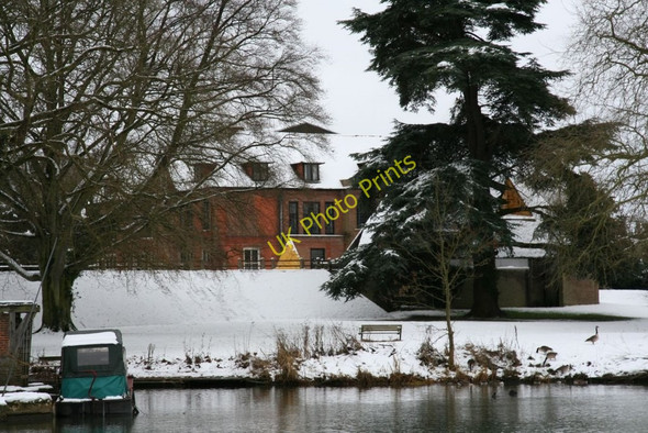 Photo 6"x4" Geese on the bank Wallingford c2010
