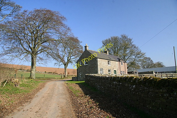 Photo 6"x4" West Carsebank Lunanhead c2009