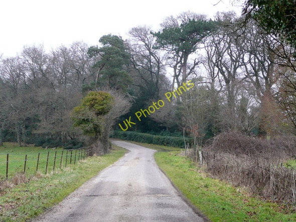 Photo 6"x4" Farm road Cold Harbour\/SY9089 c2010