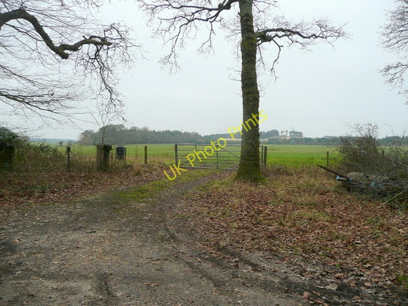 Photo 6"x4" View to Trigon Hill Binnegar c2010
