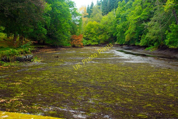 Photo 6"x4" Crathes Castle loch Crathes c2009