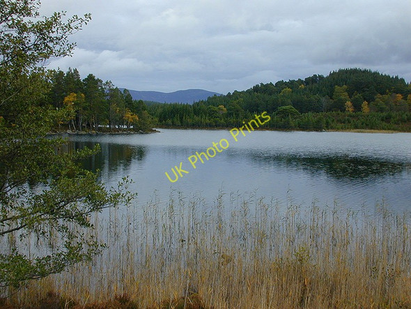 Photo 6"x4" Loch Gamhna Doune\/NH8809 c2000