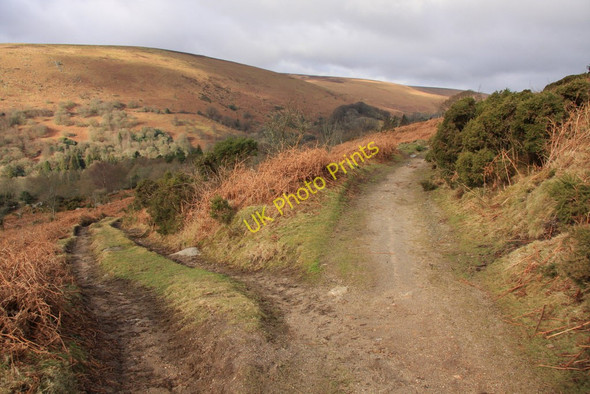 Photo 6"x4" Tracks below Chinkwell Tor Higher Dunstone c2010