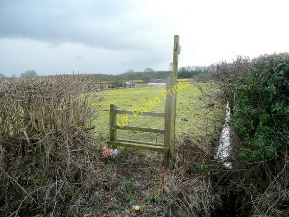 Photo 6"x4" Footpath to Knapp Farm Little Merthyr c2010