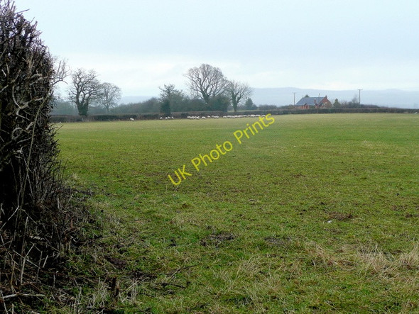 Photo 6"x4" Pasture south of Green Farm Brilley c2010
