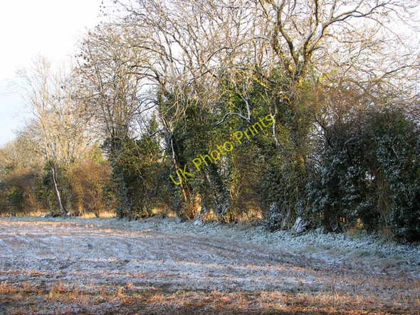 Photo 6"x4" Snow again Bramerton c2010