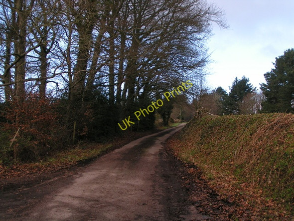 Photo 6"x4" Lane from the Ottery St Mary road West Hill\/SY0694 c2010