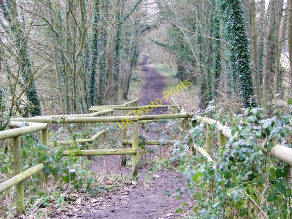 Photo 6"x4" Test Way, Horsebridge Horsebridge\/SU3430 c2010