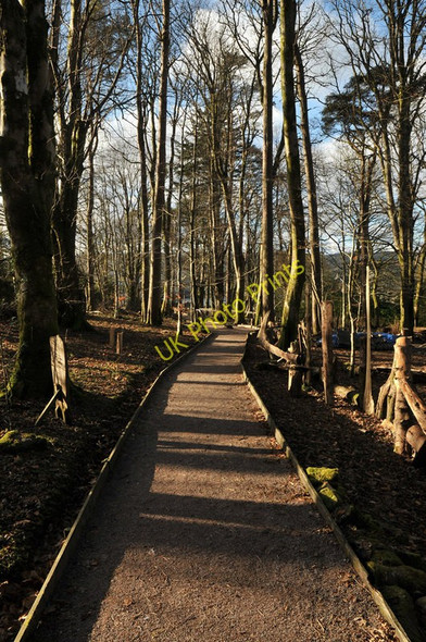Photo 6"x4" Blarbuie Woodland walk Lochgilphead c2010