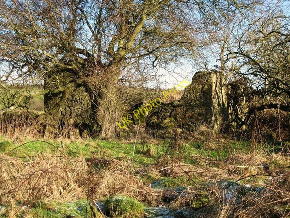 Photo 6"x4" Craighead Farm (ruin) Abronhill c2010