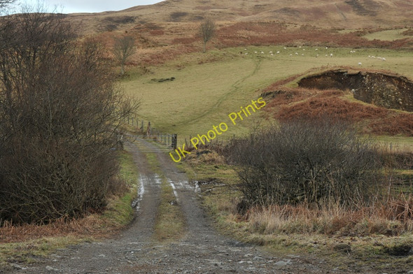 Photo 6"x4" Farm road Arduaine c2010