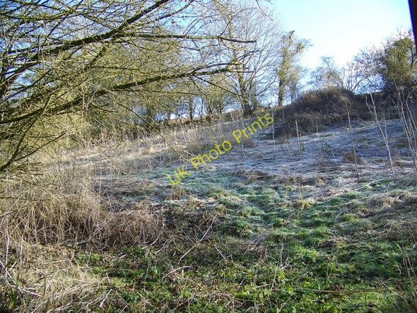 Photo 6"x4" Footpath near Eastleach Martin Eastleach Martin c2010