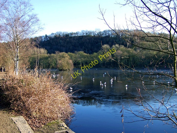 Photo 6"x4" Compstall Lake Romiley c2010