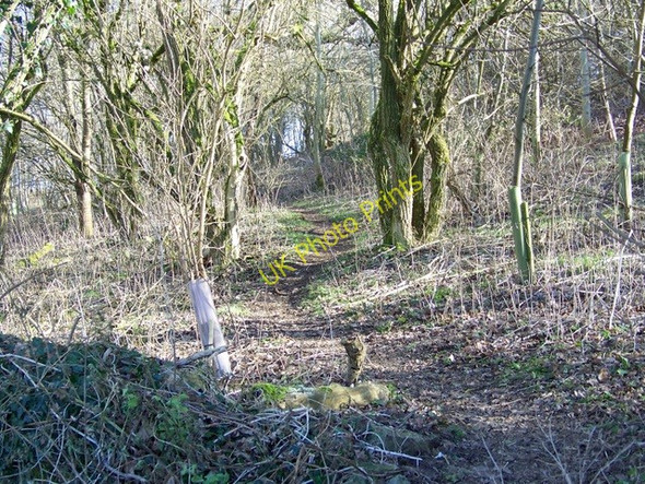 Photo 6"x4" Footpath near Eastleach Martin Eastleach Martin c2010