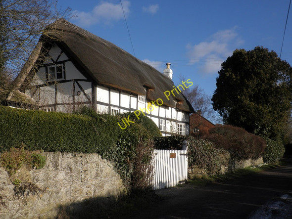 Photo 6"x4" Old Court Cottage, Hampton Bishop Hampton Bishop c2010