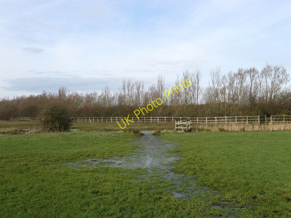 Photo 6"x4" Footpath to Chilley Farm Mill Hill\/TQ6205 c2010