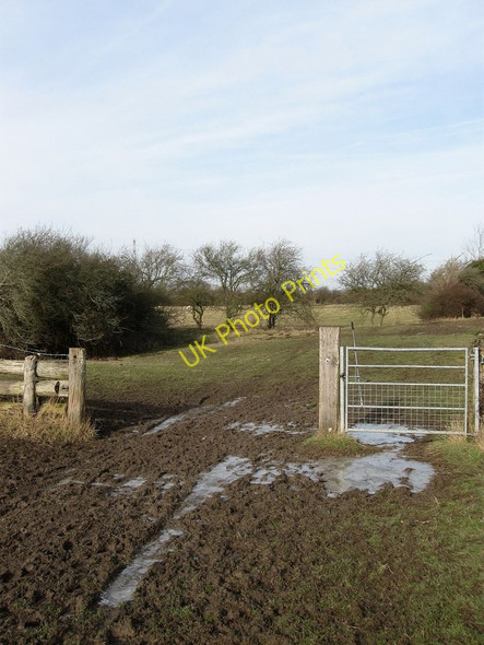 Photo 6"x4" 1066 Country Walk Rickney c2010