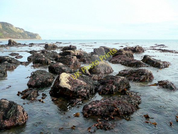 Photo 6"x4" Branscombe rocks looking east Vicarage c2010