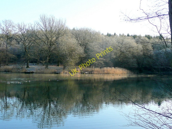 Photo 6"x4" Cannop upper pond 1 Cannop c2010