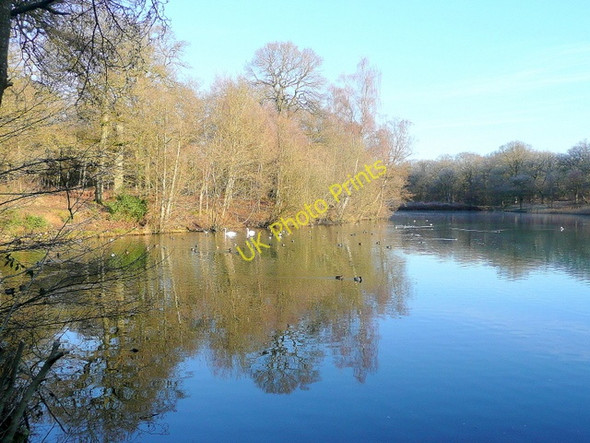 Photo 6"x4" Cannop upper pond 2 Cannop c2010