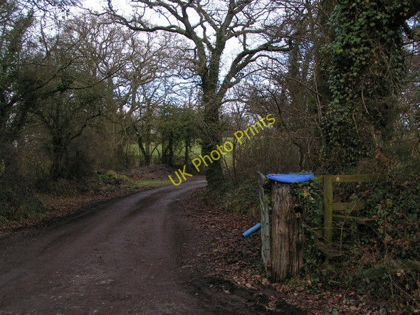 Photo 6"x4" Track at Beautiport farm Aylesbeare c2010