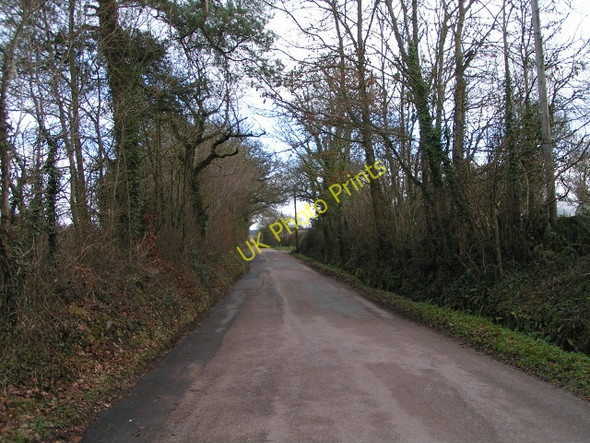Photo 6"x4" Lane to Aylesbeare Aylesbeare c2010