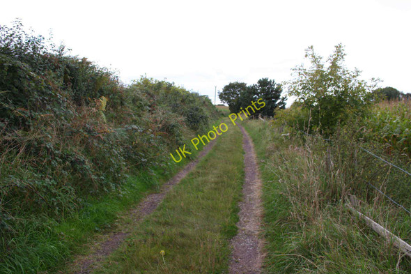 Photo 6"x4" South Cheshire Way Hunsterson c2009