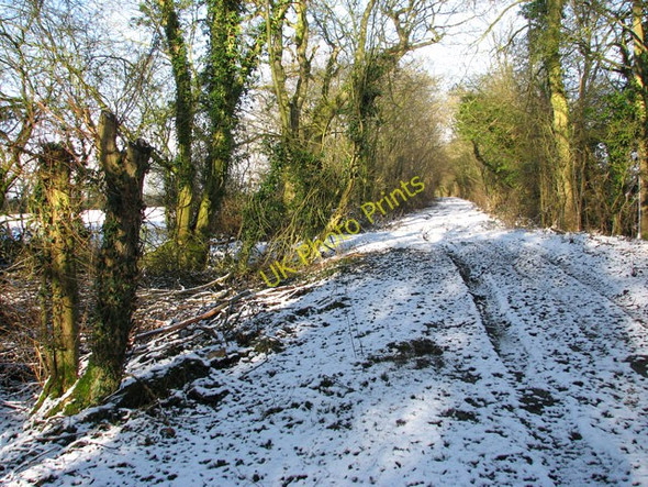 Photo 6"x4" Green Lane in the snow Kirstead Green c2010