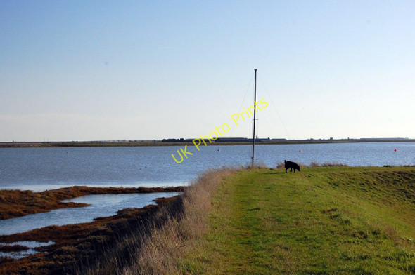 Photo 6"x4" Blackedge Point Paglesham Eastend c2010