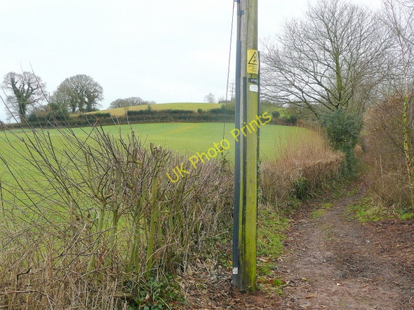 Photo 6"x4" East Devon Way between Southerton and Burrow Southerton c2010