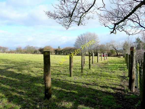 Photo 6"x4" Row of posts in a field Croes y pant c2010