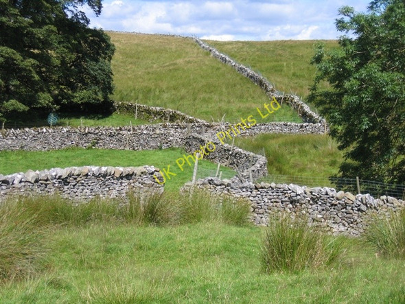 Photo 6"x4" Stone walls at Thorns Ribble Head\/SD7779 c2007