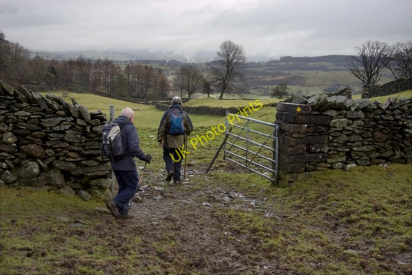 Photo 6"x4" Footpath to High Leys Underbarrow c2010