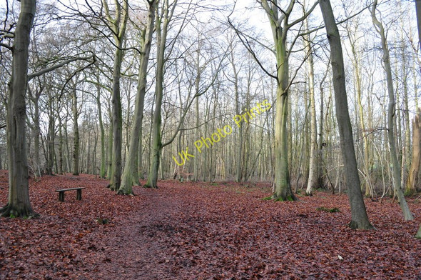 Photo 6"x4" Sisland Carr Sisland c2010