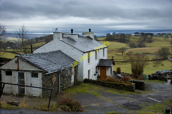 Photo 6"x4" Yew Tree Cottage Crook\/SD4695 c2010